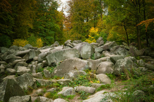 Felsenmeer in the Odenwald