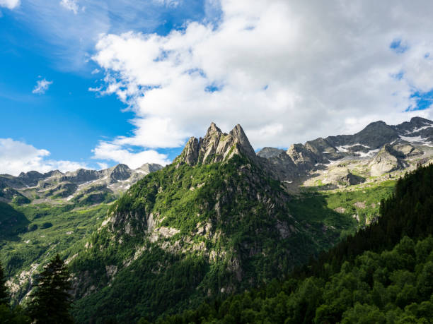 istock Alpine valley in Val Masino 1329756115