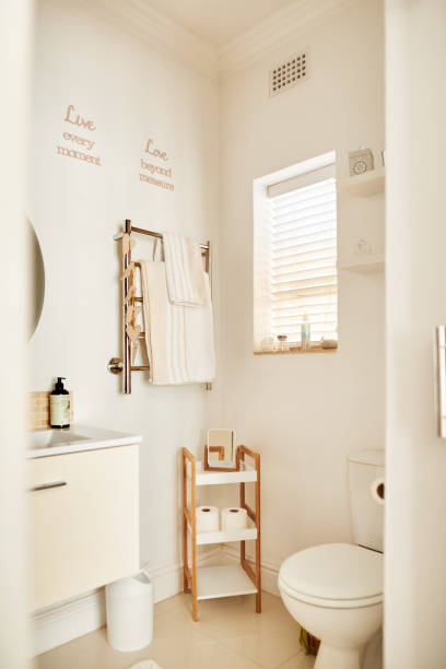 istock Interior of a bright bathroom in a modern home 1329761106