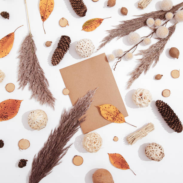 istock Fall Winter cozy flat lay mock-up background with autumn brunch decor. Trendy beige brown color shades. Minimalist seasonal aesthetic 1329761137
