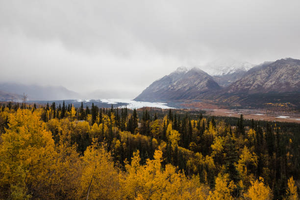 istock autumn colors at Matanuska Glacier, Alaska 1329762875