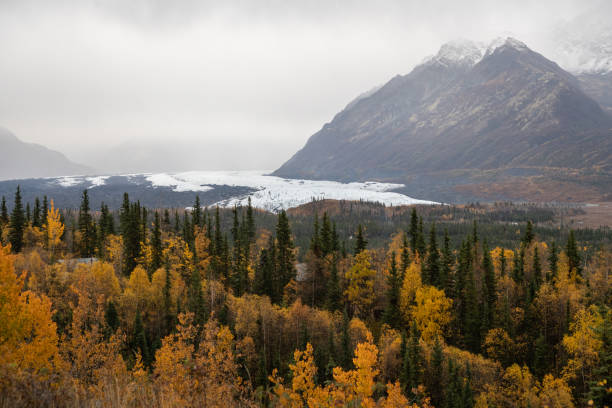 istock fall colors surrounding Matanuska Glacier in Alaska 1329762890