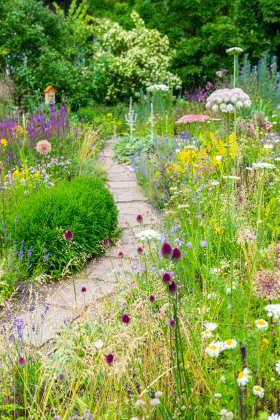 istock Summer meadow with many different flowers 1329764082