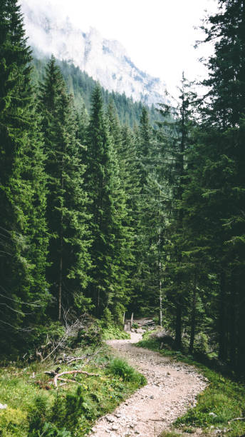 istock The Dolomites - Italy 1329765008