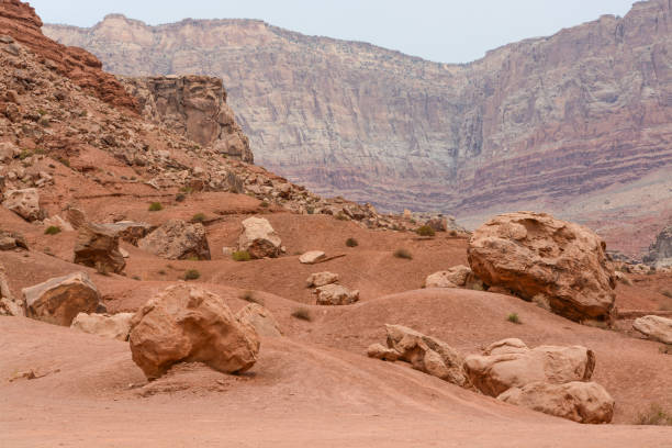 istock Boulder field, rock formations in Vermilion, Arizona 1329769423