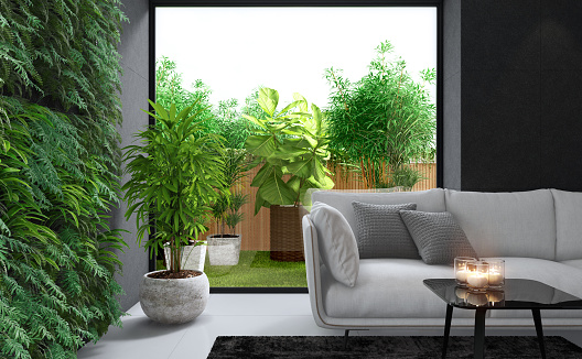 Modern villa. Architecture concept for Real estate. Green plant wall in living room and big window open to small garden with a lot of plants.