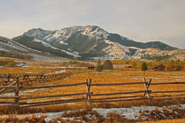Autumn colors burst through the October landscape as fall comes to the area near Paradise Valley and the Tom Miner Basin just north of Yellowstone National Park.