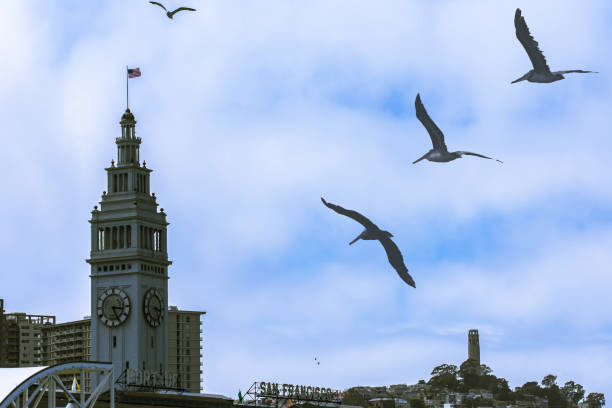 The pier is located in the Embarcadero San Francisco California.