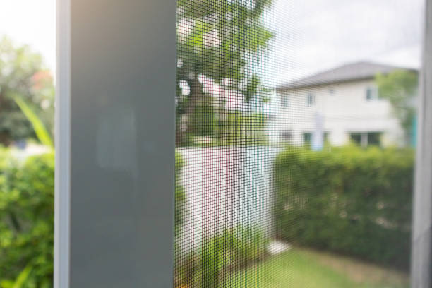 istock mosquito net wire screen on house window protection against insect 1329779636