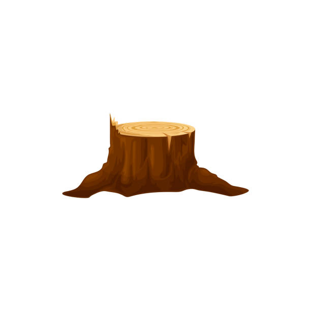 Cartoon Of Tree Stump Illustrations, Royalty-Free Vector Graphics & Clip Art - iStock Cartoon Of Tree Stump Illustrations, Royalty-Free Vector Graphics & Clip Art - iStock