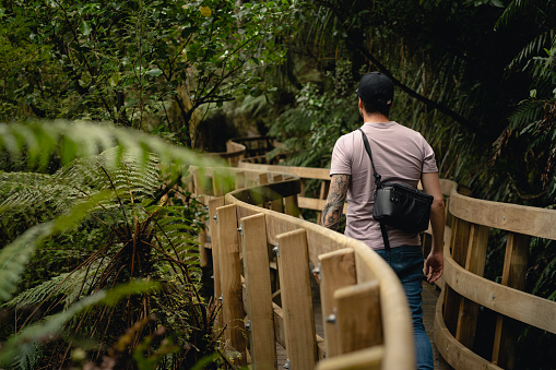 Young man walking on wooden bridge in New Zealand forest.Silver fern can be seen.