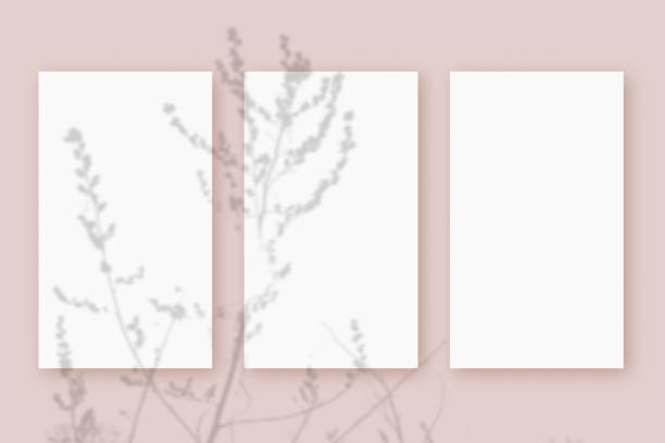istock Natural light casts shadows from the plant on 3 vertical sheets of white textured paper format, lying on a pink textured background. Mockup 1329782293