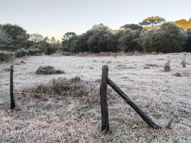 istock landscape with frost 1329787349