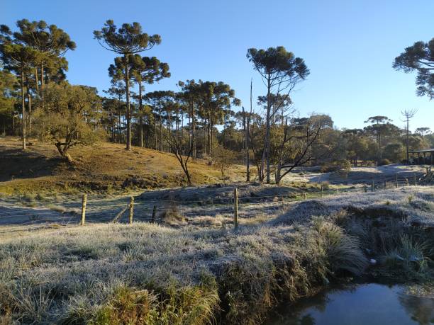 istock landscape with frost 1329787423
