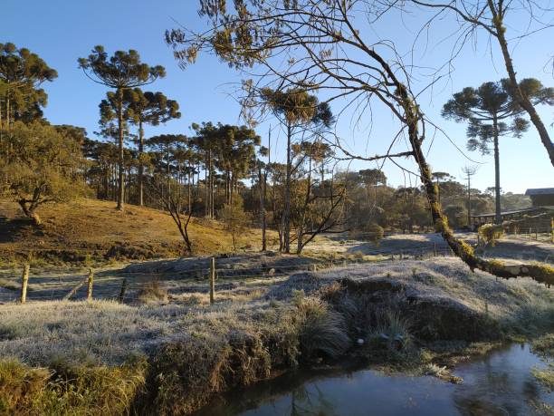 istock landscape with frost 1329787441