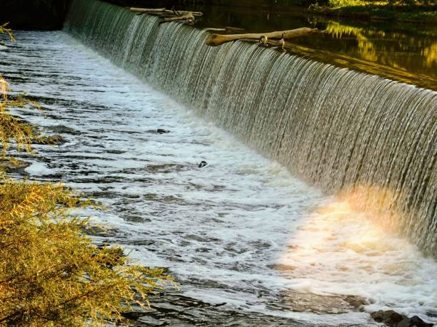 istock The Flow of Nature 1329798013