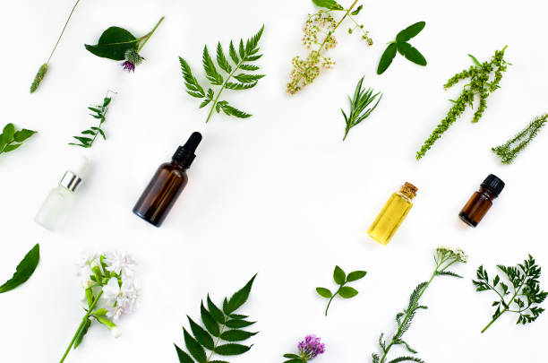istock Arrangement of medicinal herbs, oils and jars 1329806809