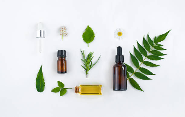 istock Ingredients of natural cosmetics top view 1329806828