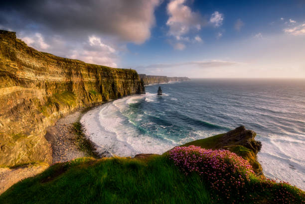 istock Lush Grass at Cliffs of Moher in Ireland 1329812424