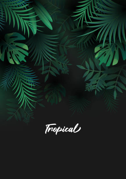 illustrations, cliparts, dessins animés et icônes de fond tropical avec des feuilles de palmier - forêt tropicale humide
