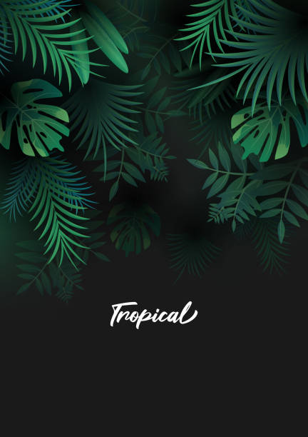 illustrazioni stock, clip art, cartoni animati e icone di tendenza di sfondo tropicale con foglie di palma - foresta pluviale