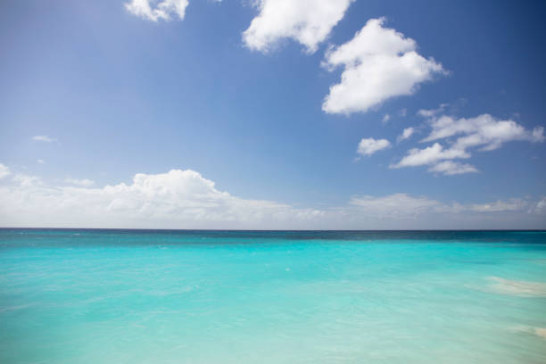 Exotic vacations. Palm trees. Turquoise water. Sunny blue sky. Beautiful white-sand beach.