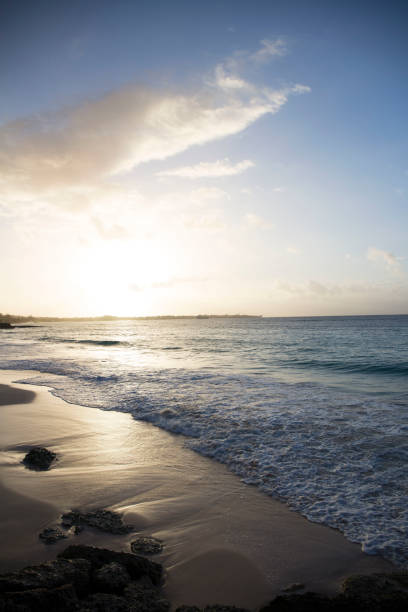 istock Summer on Barbados Island. 1329817742