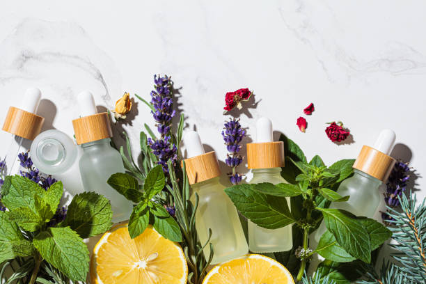 istock Different types of essential oils in glass bottles and ingredients for making essential oils. Skin and body care concept. 1329822620