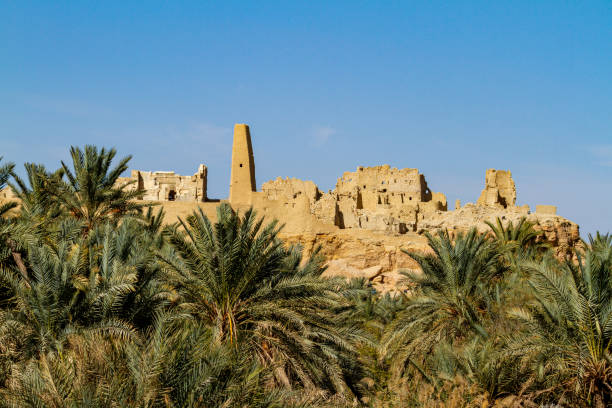 der tempel von ammon in der oasenstadt siwa in ägypten - white desert stock-fotos und bilder