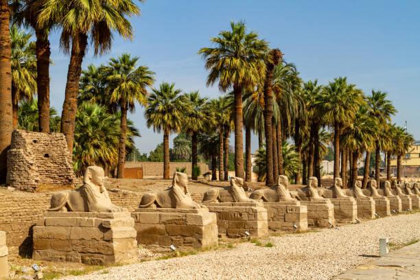 дорога сфинкса из луксора в египет - pyramid of chephren стоковые фото и изображения