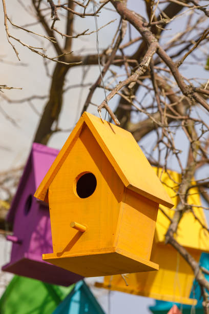 istock Closeup of yellow birdhouse on tree 1329823379