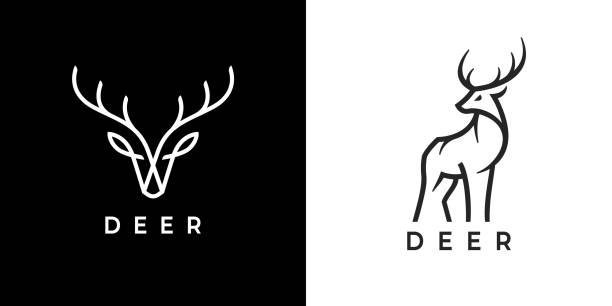 Deer line icons Deer line icons. Wild reindeer outdoor emblem. Elk antlers sign. Wildlife stag symbol. Vector illustration. deer stock illustrations