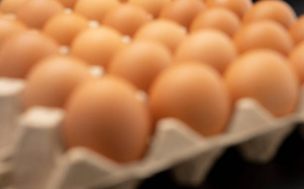 istock Blurred of chicken eggs in a row on black background 1329825048