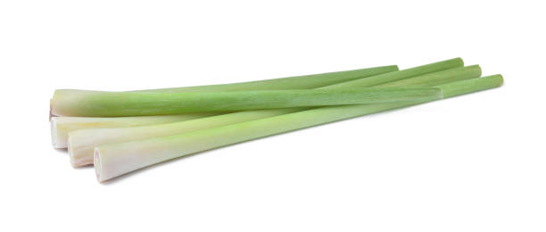 istock Bunch of fresh lemongrass on white background 1329827919