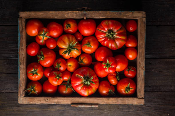 istock Ripe tomatoes in a wooden box 1329832093