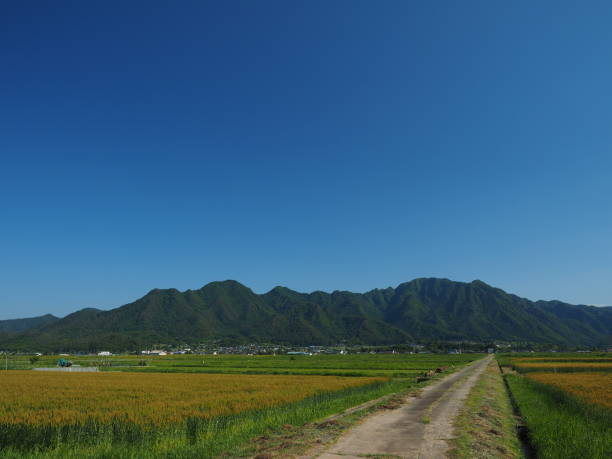 istock Rural landscape, wheat field and mountains 1329833252