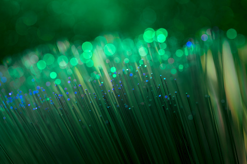 A DSLR close-up photo of fiber optics with beautiful bokeh. Space for copy.