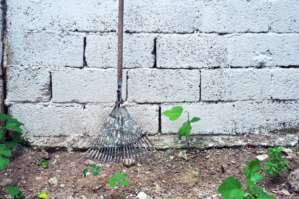 istock A rake on white garden wall 1329837815