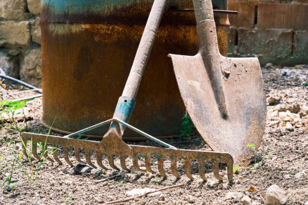 istock A rusty rake and a shovel for agricultural or gardening works 1329838415