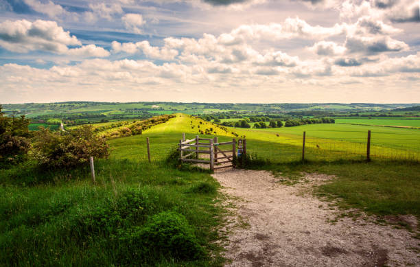 chemin ridgeway de ivinghoe beacon vers whipsnade - ridgeway photos et images de collection