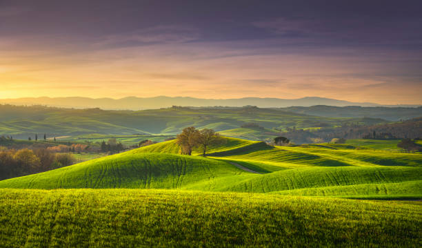 springtime in tuscany, rolling hills and trees. pienza, italy - rolling landscape fotos imagens e fotografias de stock