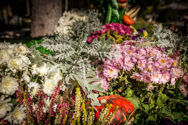 istock Autumn still life with flowers and pumpkin 1329845417