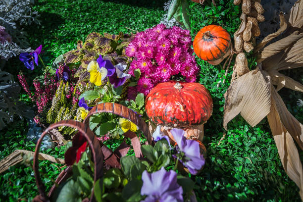 istock Autumn still life with flowers and pumpkin 1329845565