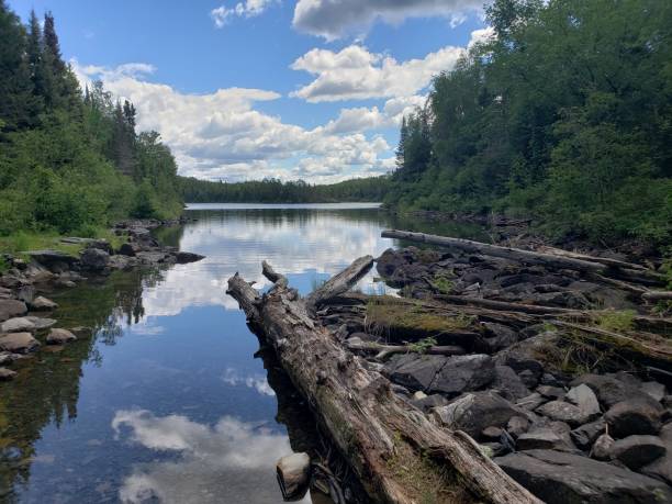 istock Entrance to a northern lake 1329848391