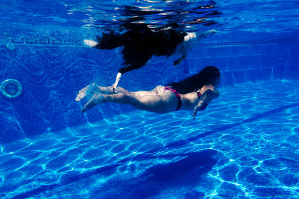 mulher caucasiana e border collie cão nadando na piscina. vista subaquática. horário de verão e conceito de férias - underwater dog adult happiness - fotografias e filmes do acervo