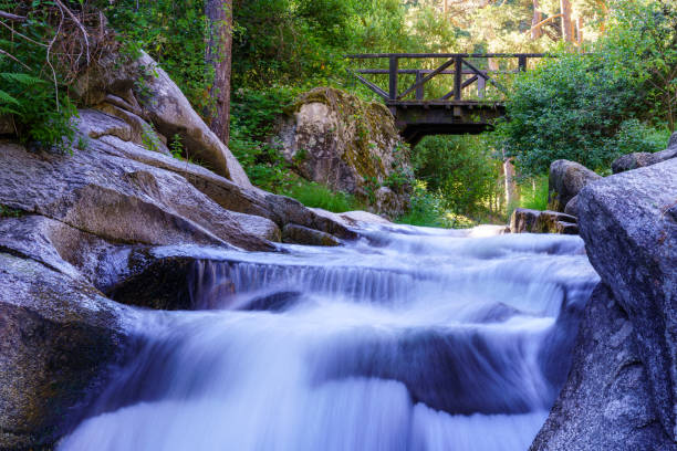 Photo of Several waterfalls passing under a wooden bridge. Navacerrada.