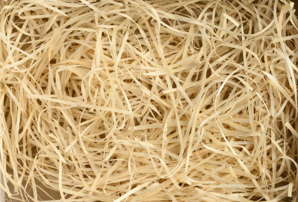 istock wood sawdust texture for decoration, shavings 1329853481