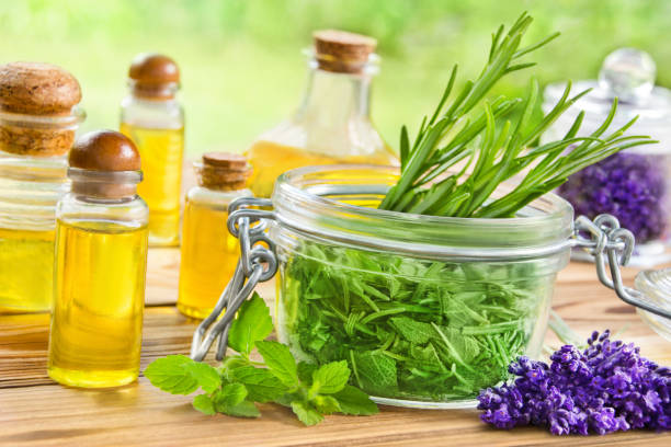 istock Various herbs in the garden and herbal essential oil 1329856539