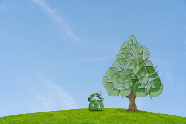 istock Environmentally friendly symbol tree and house 1329864167