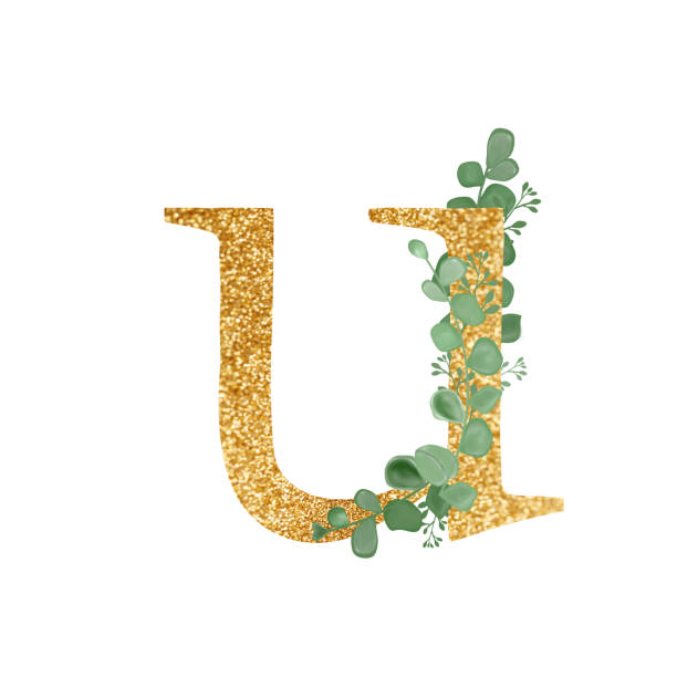 istock Gold Floral Alphabet letter U with Eucalyptus leaves branch bouquet. A greeting card. Wedding elements. An illustration for printing. Print. Composition with Green Twigs and letter 1329864995